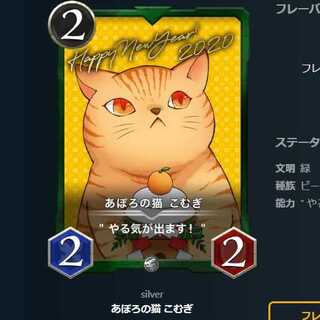 アポロの猫こむぎ