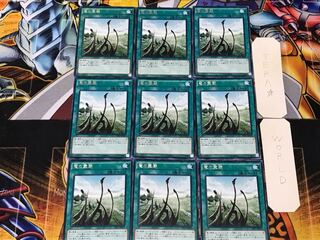 Dragon Shrine 1 rare, set of 9, Tera.