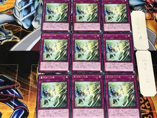 Titanocider 5 Rare, set of 9 Tera.