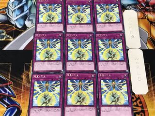 Nine Pillars of Yang Zing 1 rare set of 9 tera