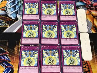Nine Pillars of Yang Zing 2 rare, set of 9 tera