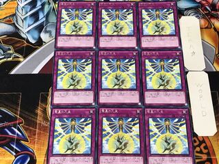 Nine Pillars of Yang Zing 3 rare, set of 9 tera