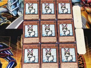 Rescue Rabbit 1 rare, set of 9, Tera.