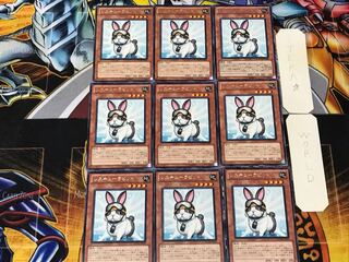 Rescue Rabbit 2 rare, set of 9, Tera