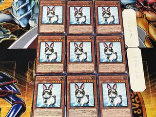 Rescue Rabbit 4 rare, set of 9, Tera