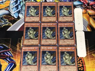 D.D. Survivor 2 rare, set of 9, Tera.