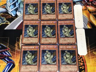D.D. Survivor 4 Rare 9-card set Tera