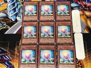 救世竜 セイヴァー・ドラゴン 1 レア 9枚セット てら