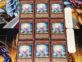 救世竜 セイヴァー・ドラゴン 2 レア 9枚セット てら