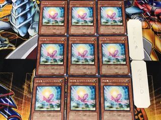 救世竜 セイヴァー・ドラゴン 3 レア 9枚セット てら