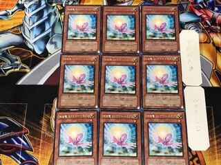 救世竜 セイヴァー・ドラゴン 4 レア 9枚セット てら