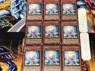 救世竜 セイヴァー・ドラゴン 5 レア 9枚セット てら