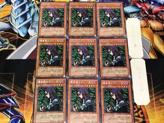 Witch of the Black Forest 1 rare, set of 9 Tera.