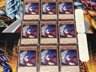 聖剣を抱く王妃ギネヴィア 2 レア 9枚セット てら