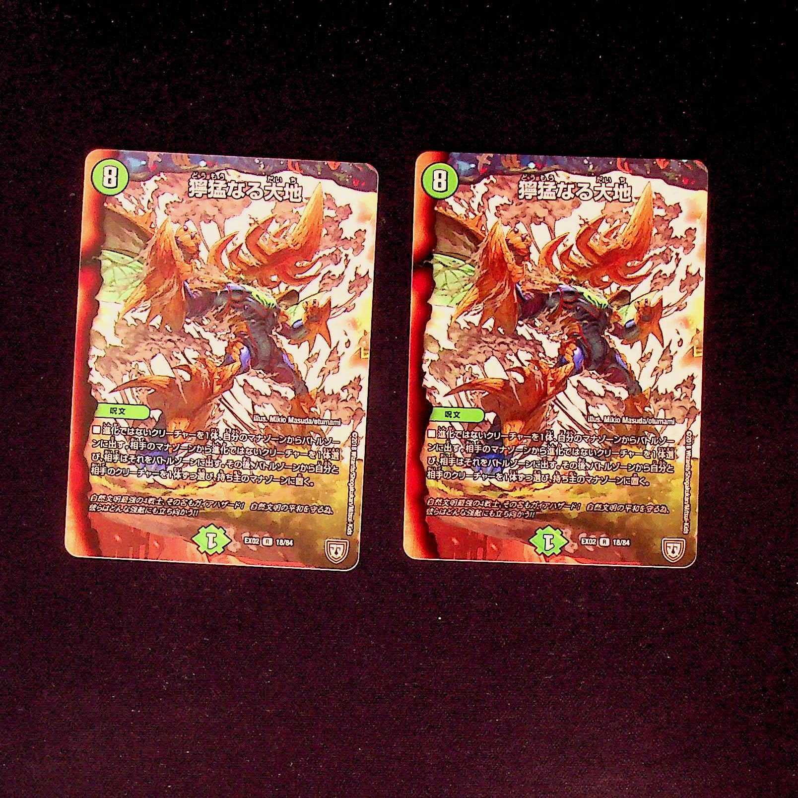 DM Fierce Earth (18/84) rare, set of 2