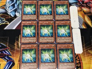 Herald of Green Light 2 rare, set of 9, Tera.