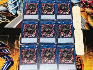 Berserker of the Tenyi 1 rare set of 9 tera