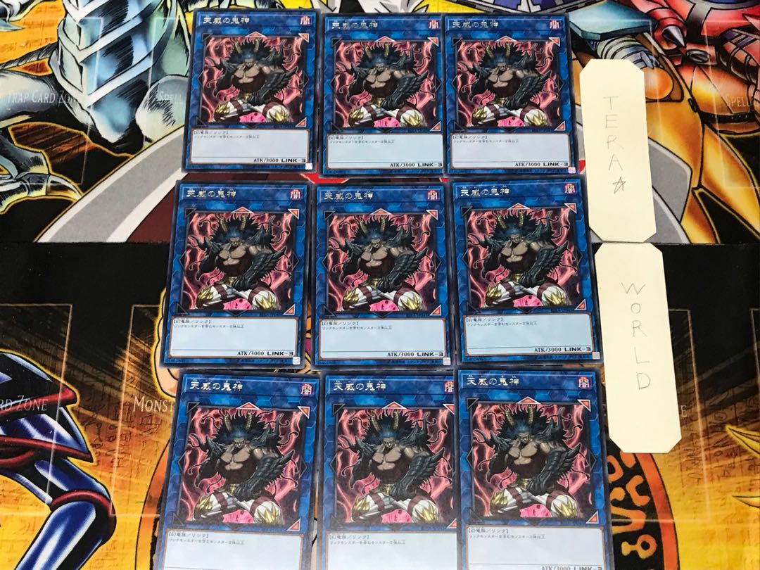 Berserker of the Tenyi 3 rare, set of 9 Tera.