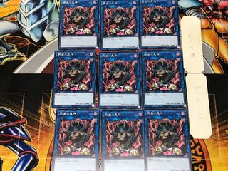 Berserker of the Tenyi 4 rare, set of 9 Tera.