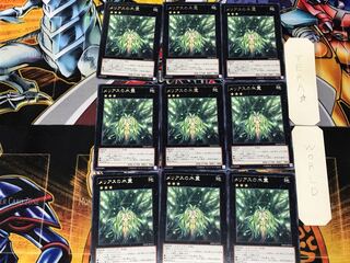 メリアスの木霊 1 レア 9枚セット てら