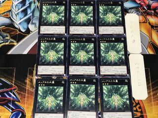 メリアスの木霊 3 レア 9枚セット てら