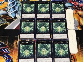 メリアスの木霊 4 レア 9枚セット てら