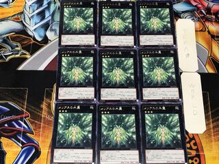 メリアスの木霊 5 レア 9枚セット てら