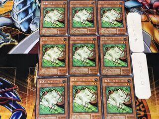 Nimble Momonga 2nd period ver 2 rare set of 9 tera