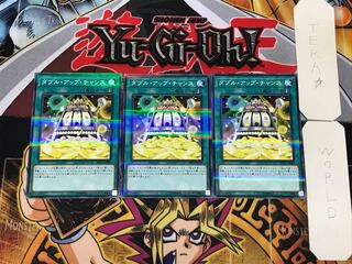 Double or Nothing! 2 Normal Parallel 3-card set Tera