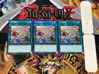 化石調査 2 ノーマルパラレル 3枚セット てら