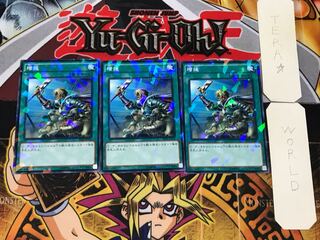 Reinforcements SPTR 1 Normal Parallel Set of 3 Tera.