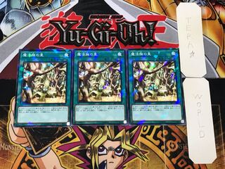 Secret Village of the Spellcasters 2 Normal Parallel Set of 3 Tera