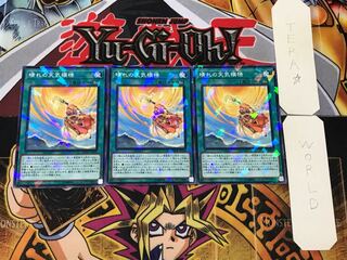 The Weather Sunny Canvas 1 Normal Parallel Set of 3 Tera