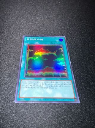 Fishfinder Super Rare