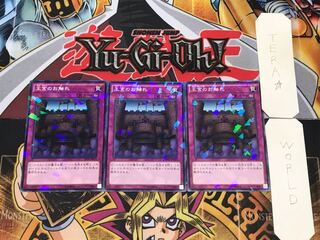 Royal Decree SPTR 1 Normal Parallel Set of 3 Tera