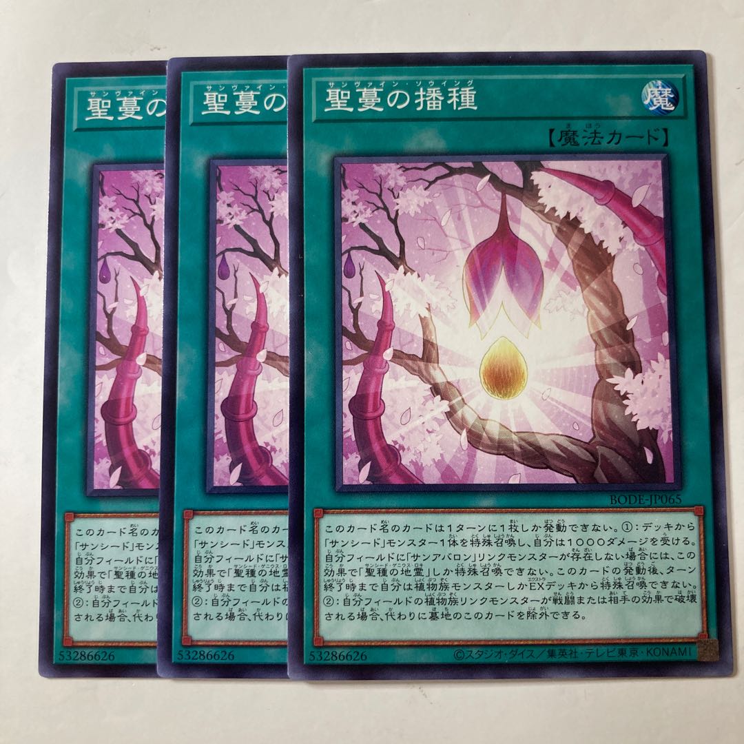 5505 聖蔓の播種 ノーマル JP065