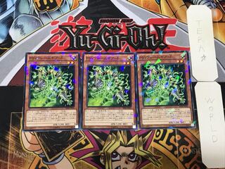 PSY-Framegear Delta 3 Normal Parallel Set of 3 Tera