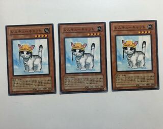 FET-JP033 Rescue Cat 3 copies