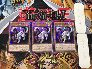 Vampire Retainer 3 Normal Parallel Set of 3 Tera