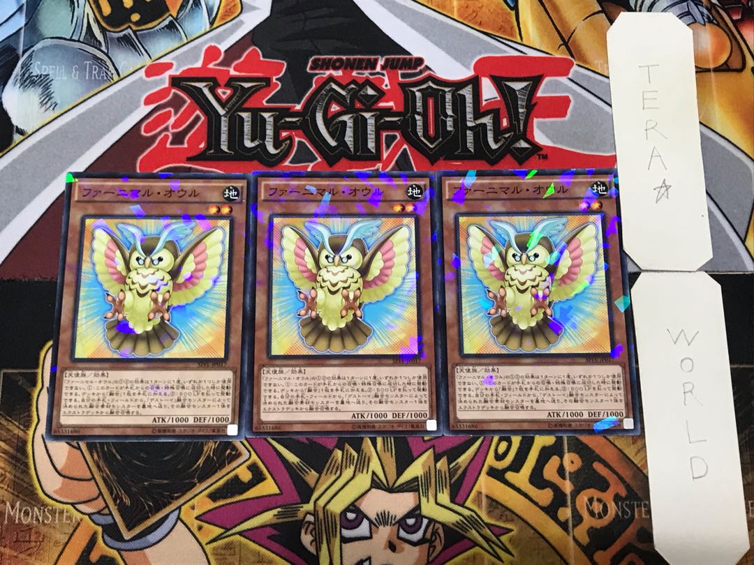 Fluffal Owl 1 Normal Parallel Set of 3 Tera.