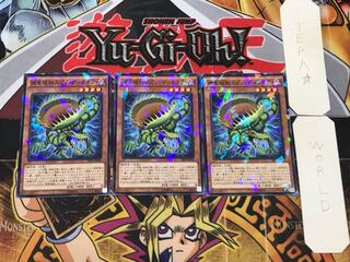 Predaplant Spinodionaea 2 Normal Parallel Set of 3 Tera