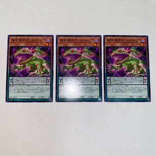 捕食植物ブフォリキュア ノーマル JP018