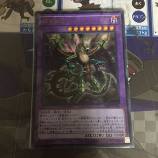 捕食植物ドラゴスタペリア1枚