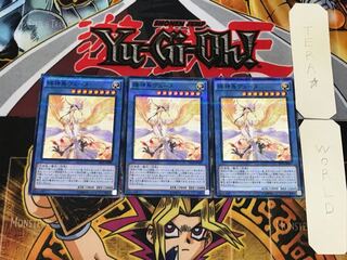 輝神鳥ヴェーヌ DP16 2 ノーマルパラレル 3枚セット てら