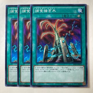 5529 Predapruning ☆7412