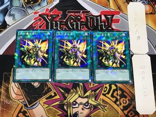 我が身を盾に 2 デュエルターミナル 3枚セット てら