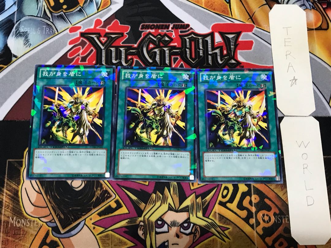 My Body as a Shield 3 Dueling Terminals, set of 3, Tera.