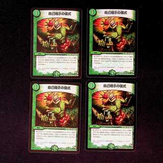 DM Ritual of Self-Improvement Common, set of 4 (1)