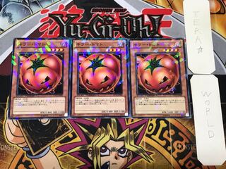 キラー・トマト 1 デュエルターミナル 3枚セット てら