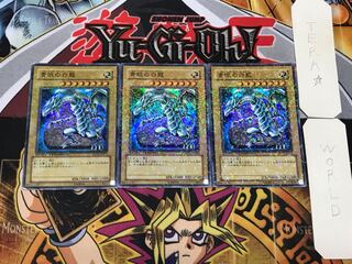 青眼の白龍 1 デュエルターミナル 3枚セット てら